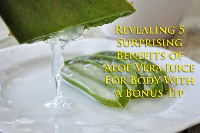 Revealing 5 Surprising Benefits Of Aloe Vera Juice For Body With A Bonus Tip Rentaword 4278